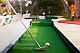 mini golf